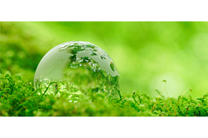 How to Host a Zero-Waste, Eco-Friendly Event