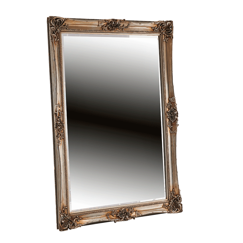 Versailles Mirror in Silver