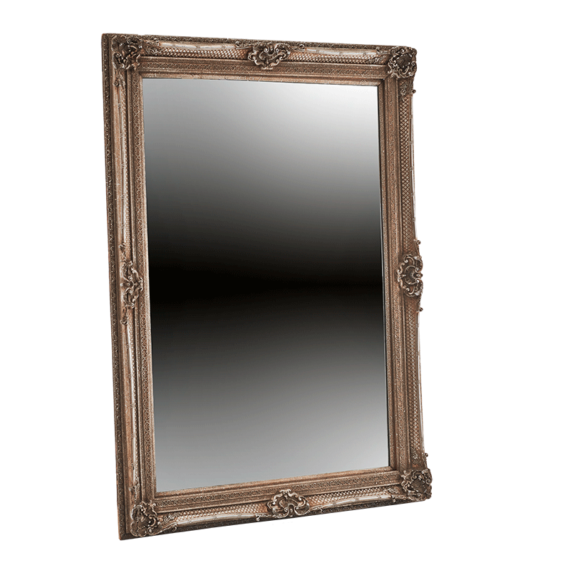 Versailles Mirror in Antique Silver