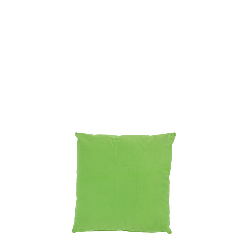 Light Green Cushion