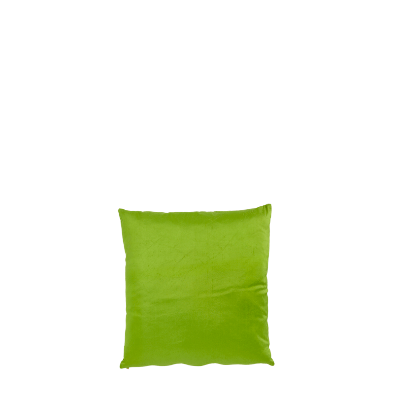 Light Green Satin Cushion