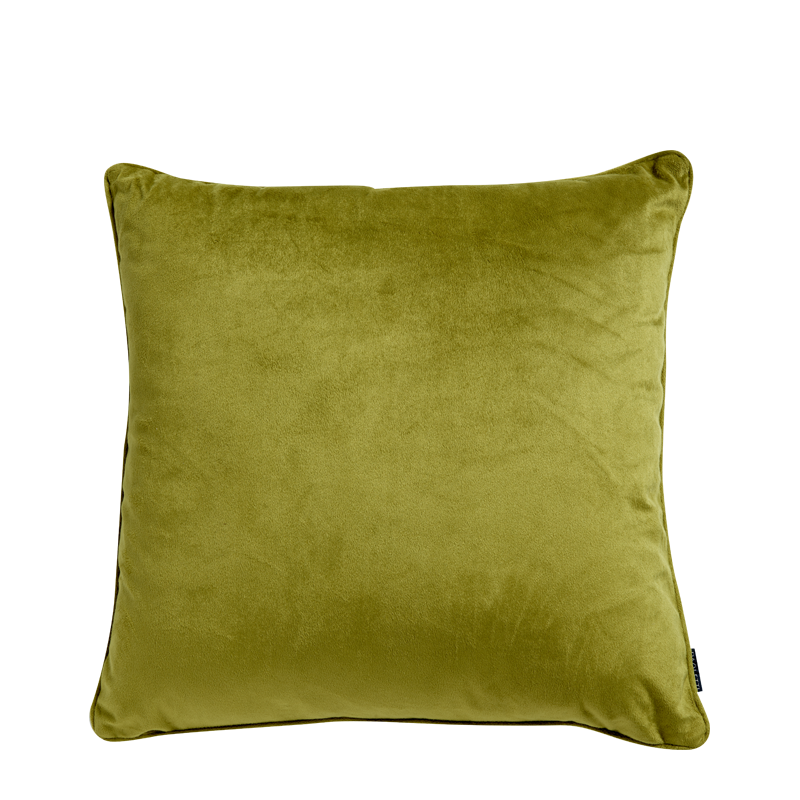Green Velvet Cushion