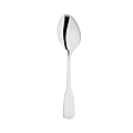 Stainless Steel Service Spoon