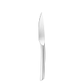 Steak Knife