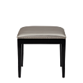 Divano Ottoman in Black with SIlver Seat Pad