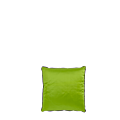 Green Silk Cushion with Contrast Piping