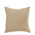 Light Green Velvet Cushion