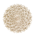 Eclat d'or placemat Ø 36,5 cm