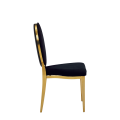 Divine Chair with Black Seat and Back Pad