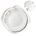 Artic Plates