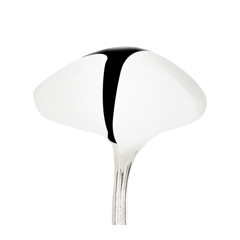 Sauce Ladle Silver