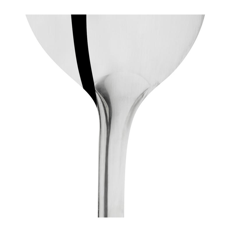 Stainless Steel Service Spoon