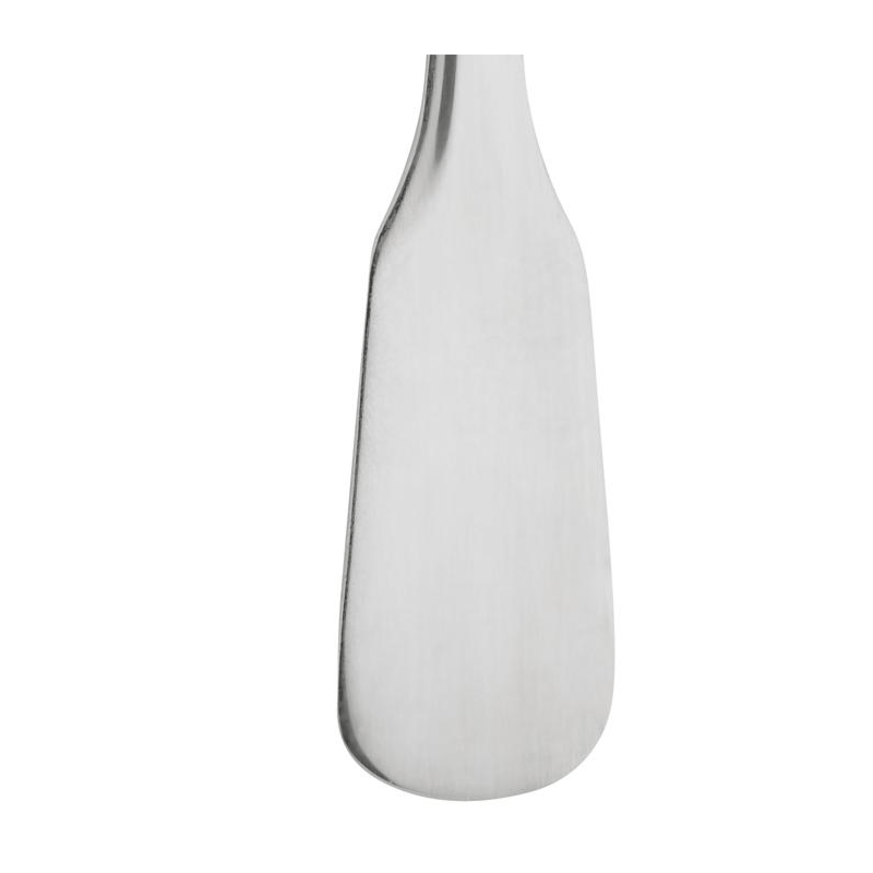 Stainless Steel Service Spoon