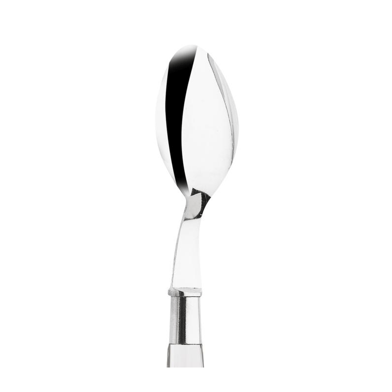 Cristali Teaspoon