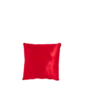 Red Satin Cushion