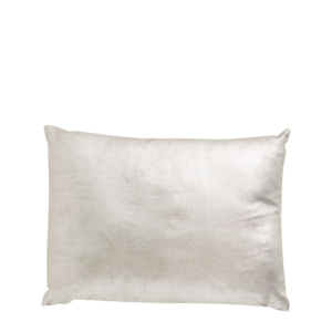 Metallic Silk Cushion