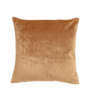 Orange Velvet Cushion