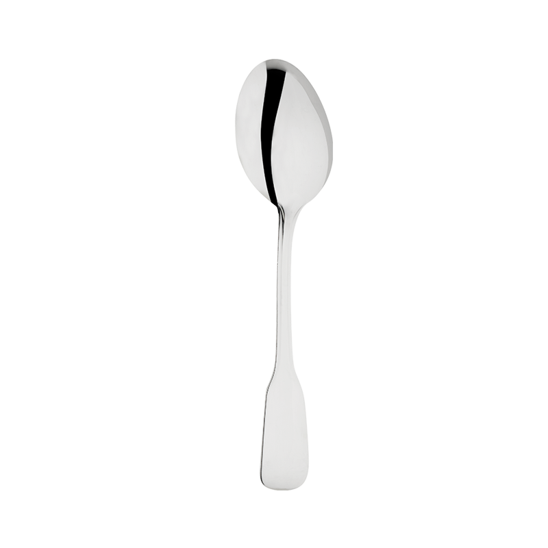Stainless Steel Service Spoon