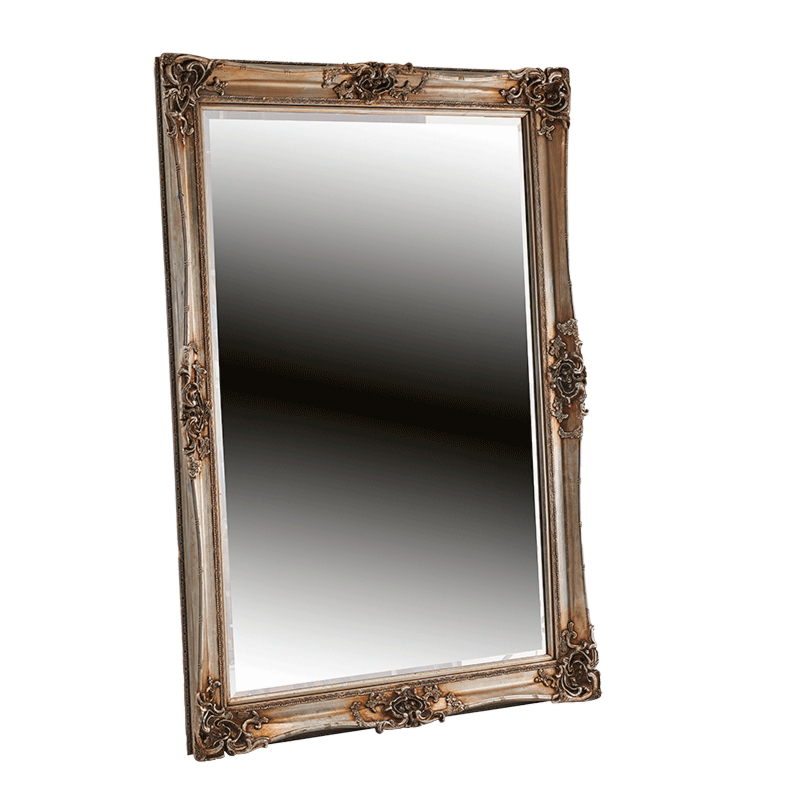 Versailles Mirror in Silver