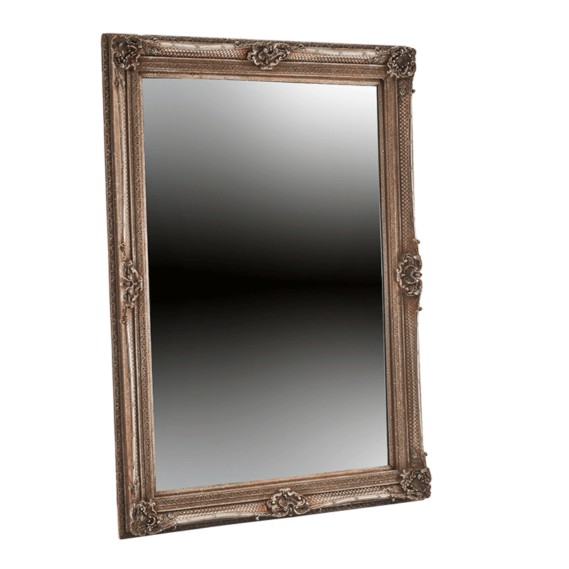 Versailles Mirror in Antique Silver