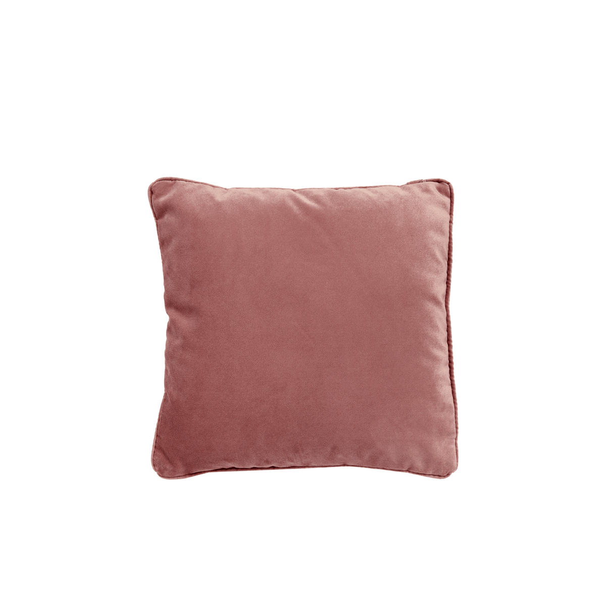Rose deals velvet pillow