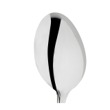 Stainless Steel Service Spoon