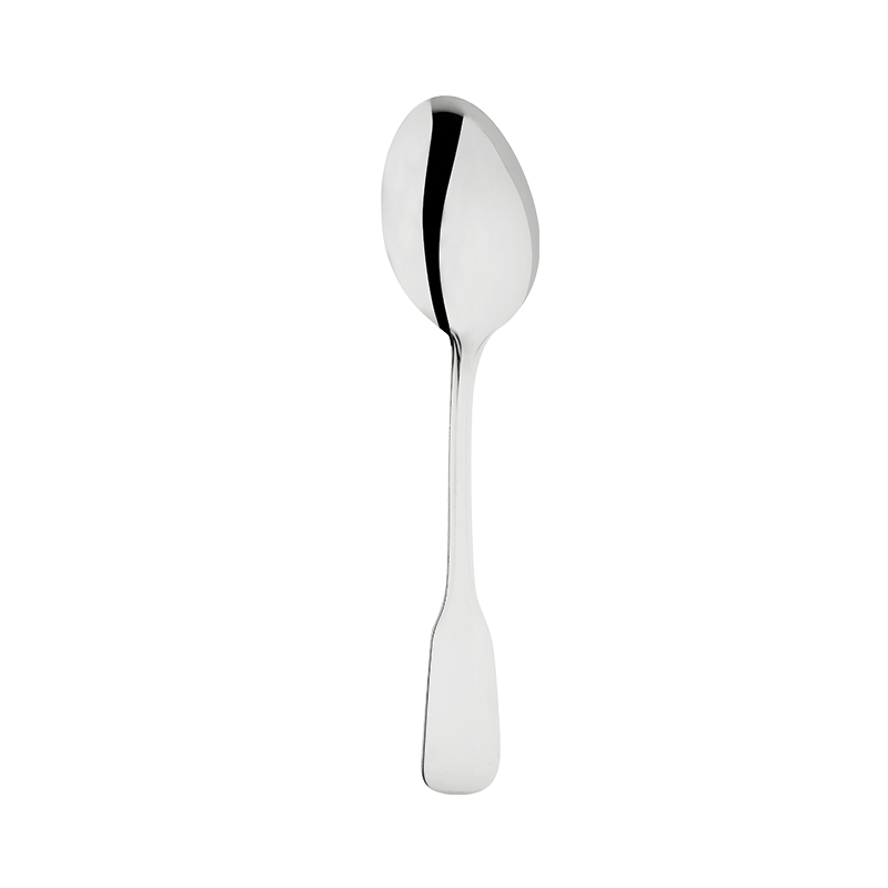 Stainless Steel Service Spoon