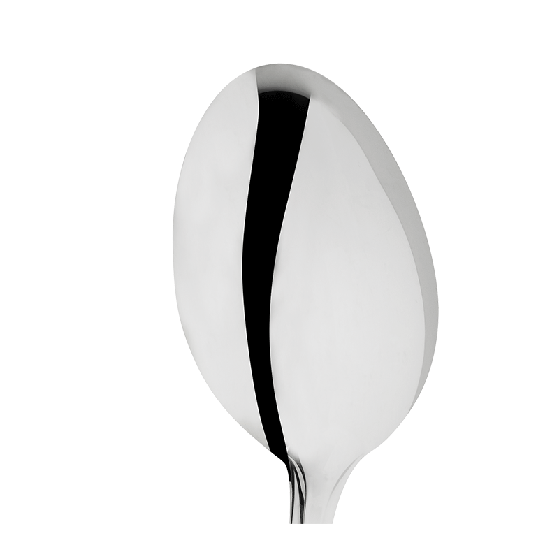 Stainless Steel Service Spoon