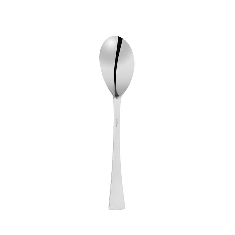 Hublot Service Spoon