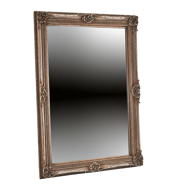 Versailles Mirror in Antique Silver