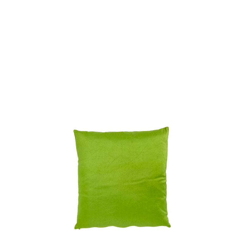Light Green Satin Cushion