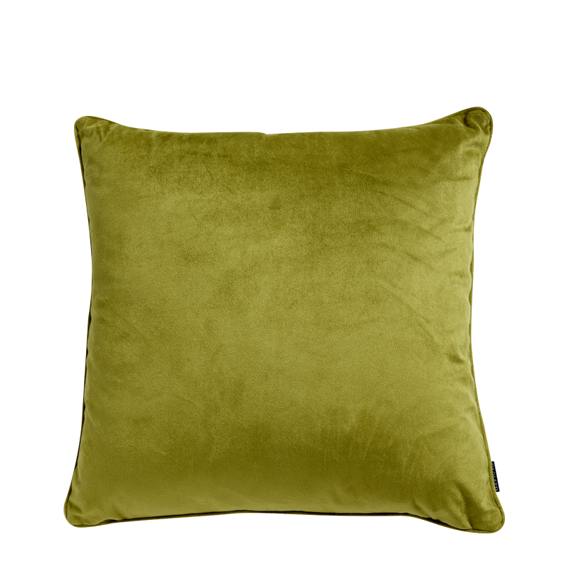 Green Velvet Cushion