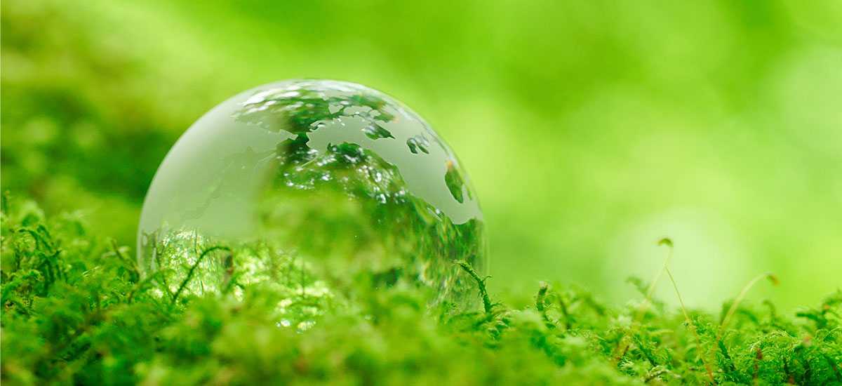 How to Host a Zero-Waste, Eco-Friendly Event